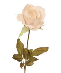 Roos (60 cm) цена и информация | Искусственные цветы | kaup24.ee