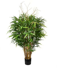 Bambus (130 cm) цена и информация | Искусственные цветы | kaup24.ee