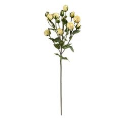 Roos (70 cm) цена и информация | Искусственные цветы | kaup24.ee