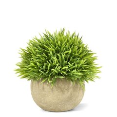 Bambus potis (14 cm) цена и информация | Искусственные цветы | kaup24.ee