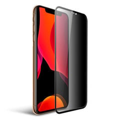 Ekraani kaitseklaas PRIVACY telefonile iPhone XR/11, Tempered glass Full Glue, Full Cover SOUNDBERRY hind ja info | Ekraani kaitsekiled | kaup24.ee