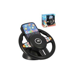 Interaktiivne rool Infini Fun, S21501 hind ja info | Imikute mänguasjad | kaup24.ee