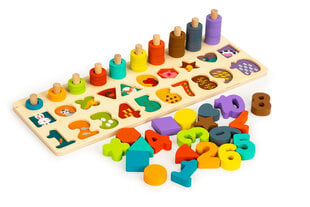 Puidust mänguasi Figuurid ja kujundid 3in1 Ecotoys, PH05R005 hind ja info | Arendavad mänguasjad | kaup24.ee
