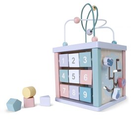 Деревянный образовательный куб Ecotoys цена и информация | Развивающие игрушки и игры | kaup24.ee