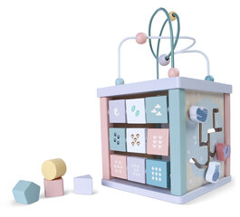 Деревянный образовательный куб Ecotoys цена и информация | Развивающие игрушки | kaup24.ee