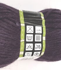 Нитки для вязания Lanoso Zerda 100г; цвет темно-фиолетовый 959 цена и информация | Принадлежности для вязания | kaup24.ee