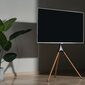 Alterzone Trio 45 "-65" цена и информация | Monitori hoidjad | kaup24.ee