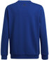 Adidas Džemprid Logo Sweat Blue HF1824 HF1824/152 цена и информация | Poiste kampsunid, vestid ja jakid | kaup24.ee