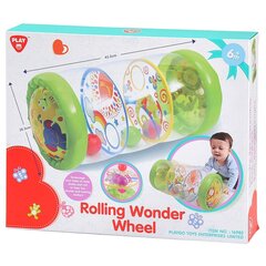 Hariduslik mänguasi Roller, PLAYGO INFANT & TODDLER, 16983 цена и информация | Игрушки для малышей | kaup24.ee