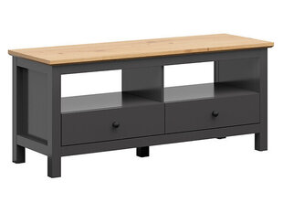 ТВ столик BRW Hesen 2S, серый/коричневый цена и информация | Тумбы под телевизор | kaup24.ee