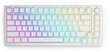 Glorious PC Gaming Race Aura Keycaps цена и информация | Klaviatuurid | kaup24.ee