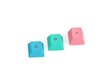 Glorious PC Gaming Race GPBT Keycaps Pastel 114 vnt. hind ja info | Klaviatuurid | kaup24.ee