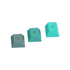 Glorious PC Gaming Race GPBT Keycaps Rain Forest 114 шт. цена и информация | Клавиатуры | kaup24.ee