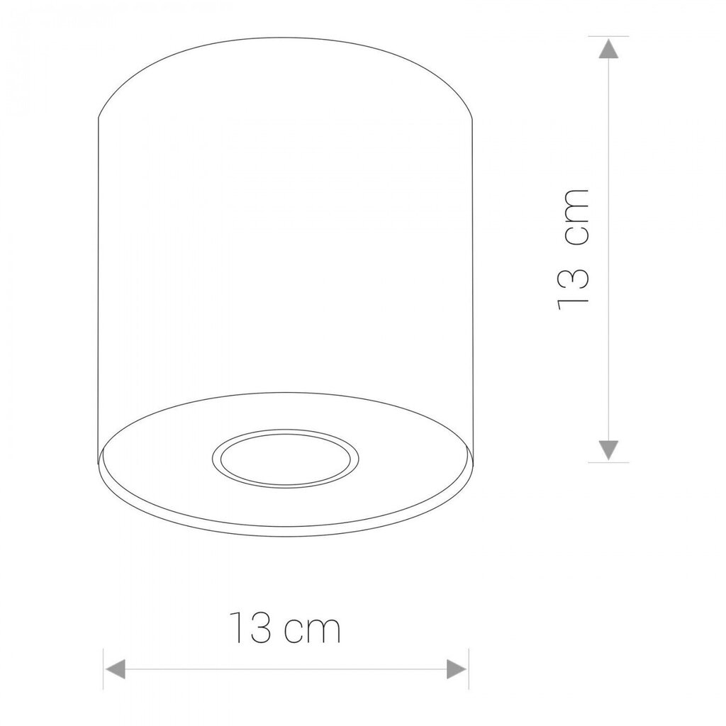 Nowodvorski Lighting laevalgusti Point 6001 цена и информация | Laelambid | kaup24.ee