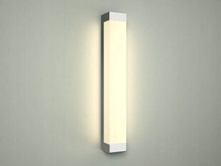 Nowodvorski Lighting настенный светильник Fraser 6945, 50 см цена и информация | Настенный светильник Конусы | kaup24.ee