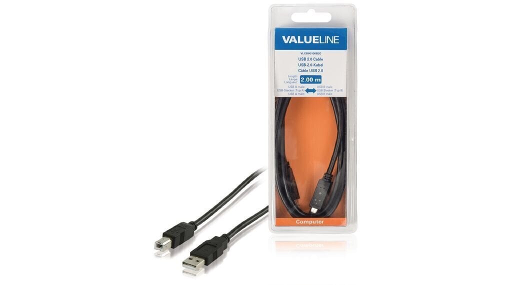 Printerikaabel Valueline VLCB60100B20 USB 2.0 / A-B, 2 m цена и информация | Kaablid ja juhtmed | kaup24.ee