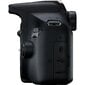 Canon EOS 2000D + EF-S 18-55mm III + EF 75-300mm III цена и информация | Fotoaparaadid | kaup24.ee