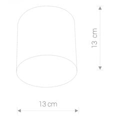 Nowodvorski Lighting laevalgusti Point 6525 hind ja info | Laelambid | kaup24.ee