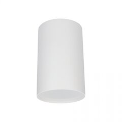 Nowodvorski Lighting потолочный светильник Point 6528 цена и информация | Потолочные светильники | kaup24.ee