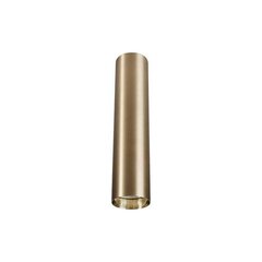 Nowodvorski Lighting потолочный светильник Eye Brass M 8912 цена и информация | Потолочные светильники | kaup24.ee