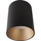 Nowodvorski Lighting laevalgusti Eye Tone Black/Gold 8931 цена и информация | Laelambid | kaup24.ee