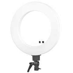 Лампа для макияжа RING LIGHT 18 48Вт LED (белого цвета) цена и информация | Осветительное оборудование для фотосъемок | kaup24.ee