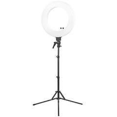 Лампа для макияжа RING LIGHT 18 48Вт LED (белого цвета) цена и информация | Осветительное оборудование для фотосъемок | kaup24.ee