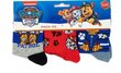 Poiste sokid Paw Patrol, 3 paari цена и информация | Poiste sukkpüksid ja sokid | kaup24.ee