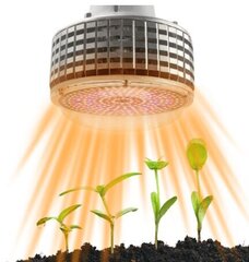 Лампа 100Вт для выращивания растений  цена и информация | Лампочки | kaup24.ee