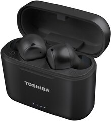 Toshiba AirHush RZE-BT1050E цена и информация | Наушники | kaup24.ee