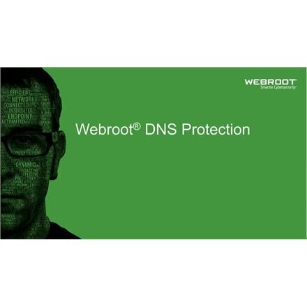 Webroot 152300001A hind ja info | Viirusetõrjed | kaup24.ee