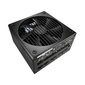 Fractal Design Ion+ 2 Platinum 860W цена и информация | Toiteplokid (PSU) | kaup24.ee