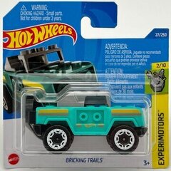 <p>Автомодель 2022 - 027 - HCT36 Hot Wheels Bricking Trails</p>
 цена и информация | Игрушки для мальчиков | kaup24.ee