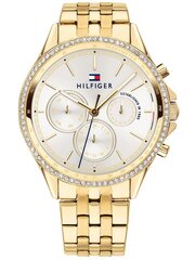 Naiste käekell Tommy Hilfiger Ari 1781977 цена и информация | Женские часы | kaup24.ee