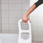 Vitility vannitoa käsipuu hind ja info | Vannitoaseadmed puuetega inimestele | kaup24.ee