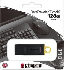 Kingston DTX, 128GB, USB 3.2 цена и информация | Kingston Компьютерная техника | kaup24.ee