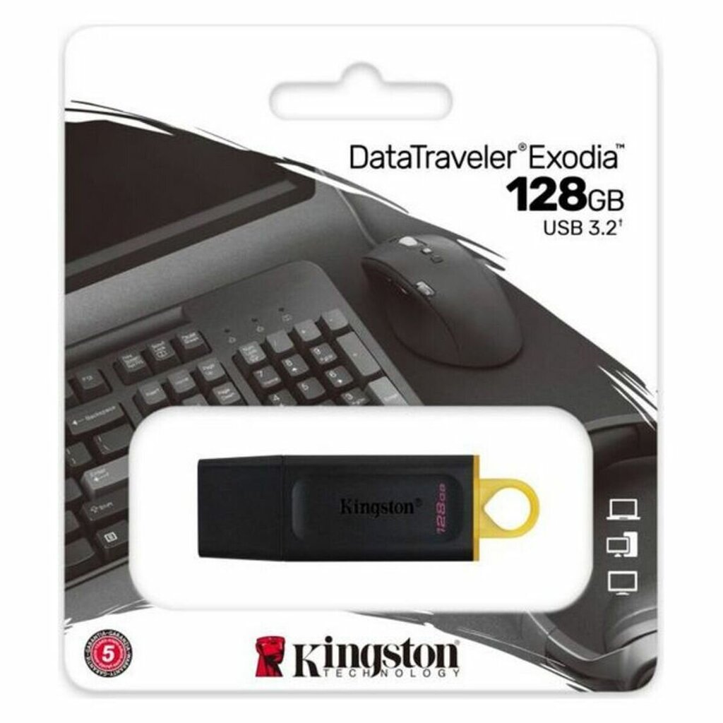 Kingston DTX, 128GB, USB 3.2 цена и информация | Mälupulgad | kaup24.ee