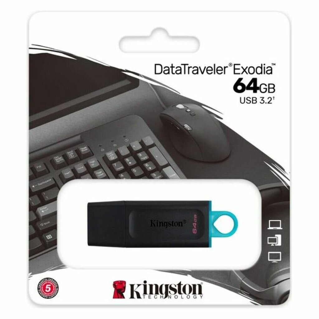 Kingston DTX, 128GB, USB 3.2 цена и информация | Mälupulgad | kaup24.ee