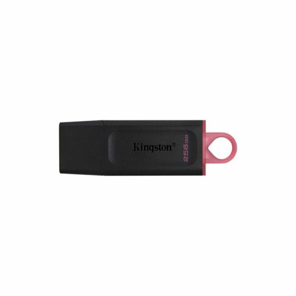 Kingston DTX, 128GB, USB 3.2 цена и информация | Mälupulgad | kaup24.ee