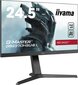 Iiyama 433314 hind ja info | Monitorid | kaup24.ee