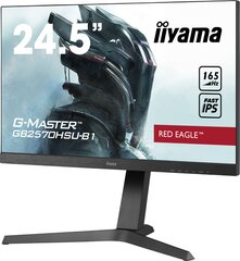 Iiyama 433314 hind ja info | Monitorid | kaup24.ee