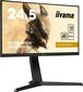 Iiyama GB2590HSU-B1 цена и информация | Monitorid | kaup24.ee