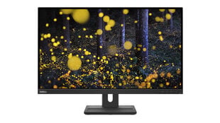 Lenovo 1_784025 hind ja info | Monitorid | kaup24.ee