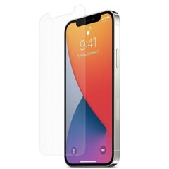 Riff Protection Karastatud klaas 0.3mm Apple iPhone 12 Pro Max jaoks цена и информация | Защитные пленки для телефонов | kaup24.ee