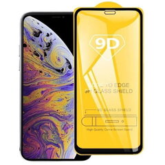 Защитное стекло TakeMe 9D Hybrid, для Apple iPhone XS Max, iPhone 11 Pro Max, черная рамка цена и информация | Защитные пленки для телефонов | kaup24.ee