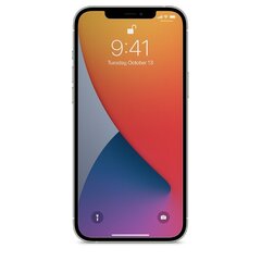 MyScreen Hybrid 0.15mm 8H Premium Japan Эластичное Стекло-пленка Apple iPhopne 13 Pro Max Прозрачное (Четкая видимость) цена и информация | Ekraani kaitsekiled | kaup24.ee