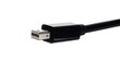 RoGer Adapter to Transfer DP to HDMI Black hind ja info | Kaablid ja juhtmed | kaup24.ee