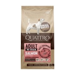 Quattro Small Breed сухой без зерна гипоаллергенный корм для взрослых собак мелких пород с лососем и крилем, 7 кг цена и информация | Сухой корм для собак | kaup24.ee