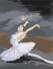 Maalid numbrite järgi "Ballerina dance 1" 40 x 50 G hind ja info | Maalid numbri järgi | kaup24.ee