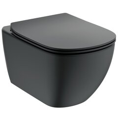 Seinale paigaldatav varjatud kinnitusega WC pott TESI (Aquablade), matt must, Ideal Standard цена и информация | Унитазы | kaup24.ee